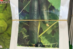 WhatsApp-Image-2025-06-18-at-14.54.34_456c8a5c