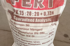 WhatsApp-Image-2025-06-18-at-14.54.34_ca4eb29d