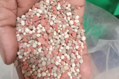 WhatsApp-Image-2025-06-18-at-14.54.35_f699176e